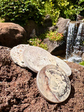 Load image into Gallery viewer, 1 Hawaiian Dollar .999 Fine Silver Coin. Recovered From Lahaina Wildfire.
